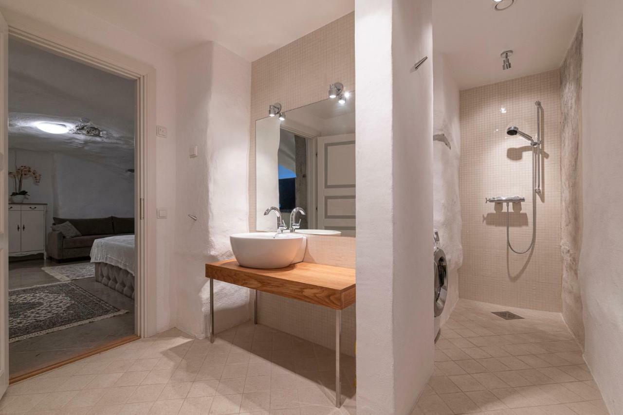 Tallinn Housing 2 Bdr 2 Bathroom With Sauna At Carl Engel Luxury House エクステリア 写真