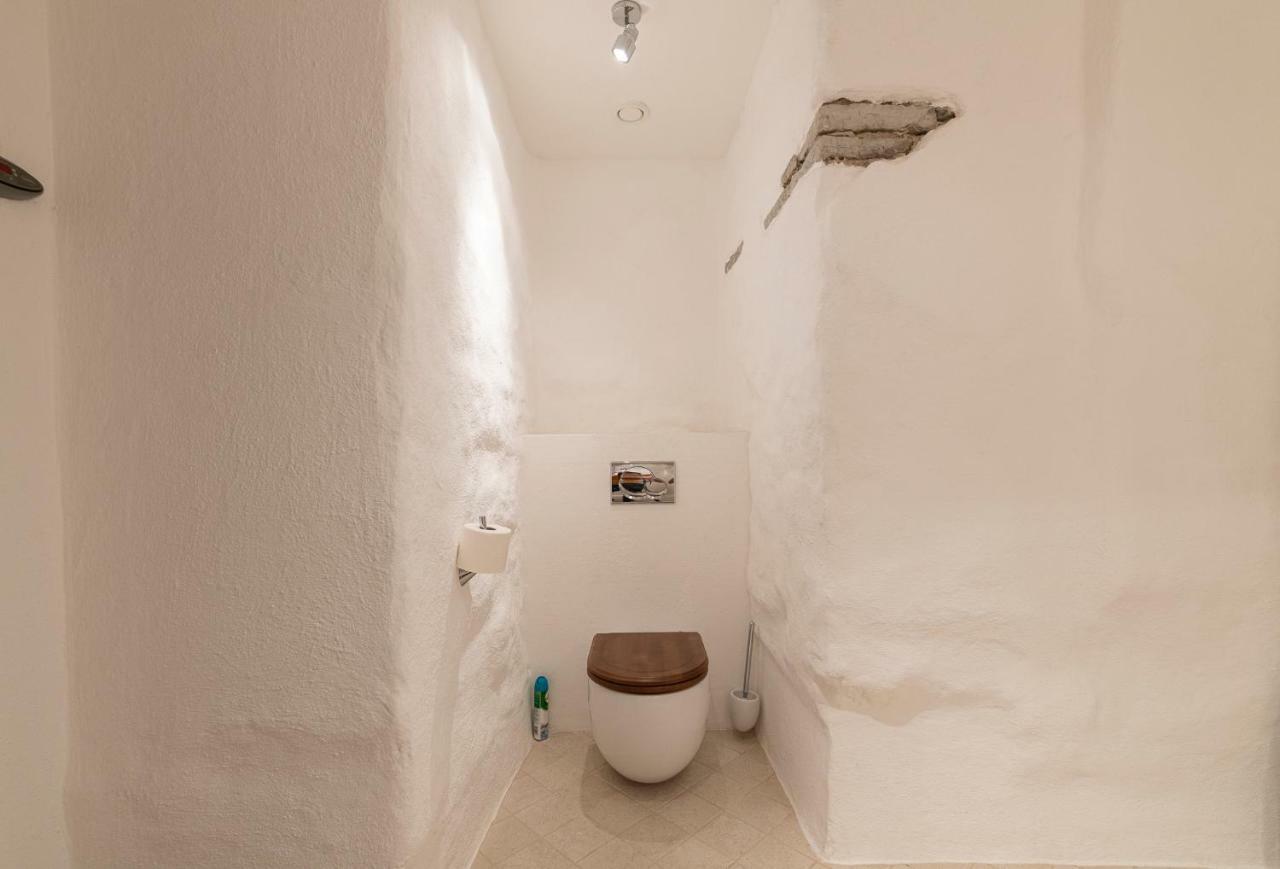 Tallinn Housing 2 Bdr 2 Bathroom With Sauna At Carl Engel Luxury House エクステリア 写真